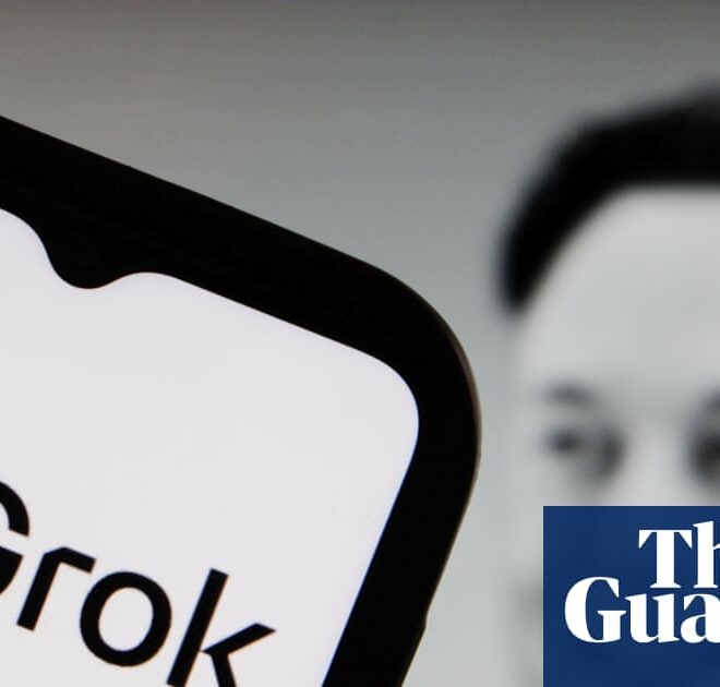 In Grok we don’t trust: academics assess Elon Musk’s AI-powered encyclopedia | Artificial intelligence (AI)