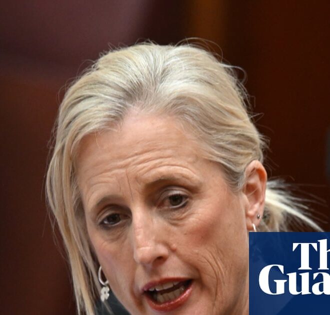 Australian government could explore using AI for cabinet submissions despite security concerns | Australian politics