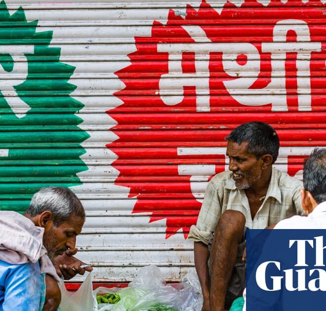 What AI doesn’t know: we could be creating a global ‘knowledge collapse’ | Artificial intelligence (AI)