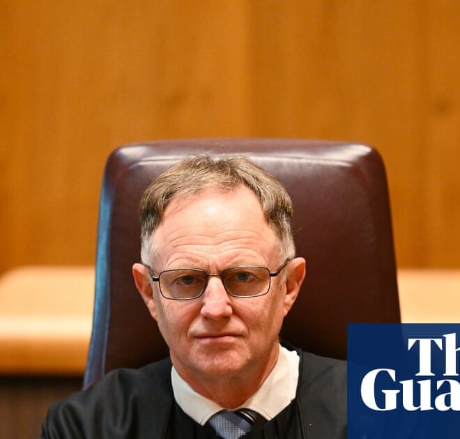 Judges have become ‘human filters’ as AI in Australian courts reaches ‘unsustainable phase’, chief justice says | Australian law