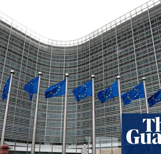 European Commission mulls AI Act delays in face of Trump and business pressure | European Commission