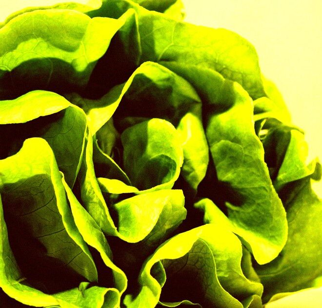 Top Economist Warns That AI Data Center Investments Are “Digital Lettuce” That’s Already Starting to Wilt
