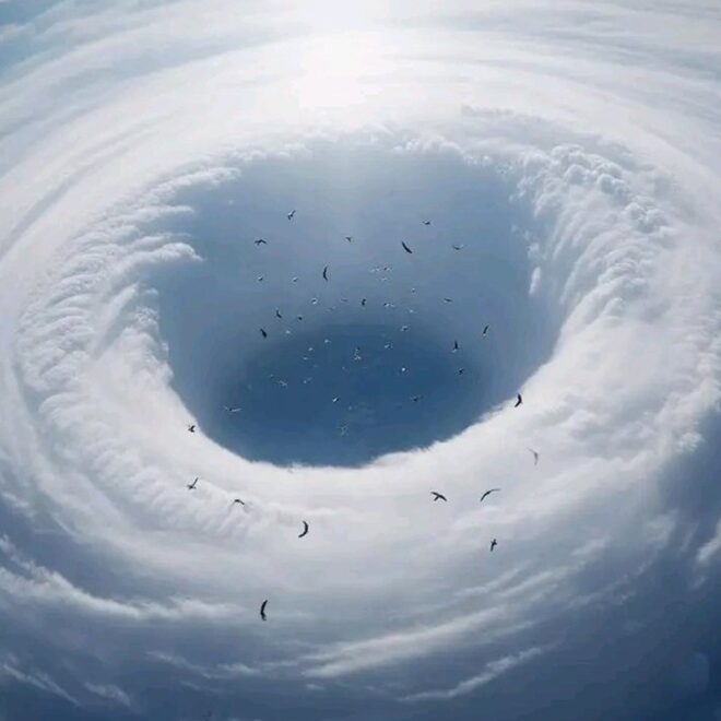 Experts Alarmed as AI Image of Hurricane Melissa Featuring Birds “Larger Than Football Fields” Goes Viral