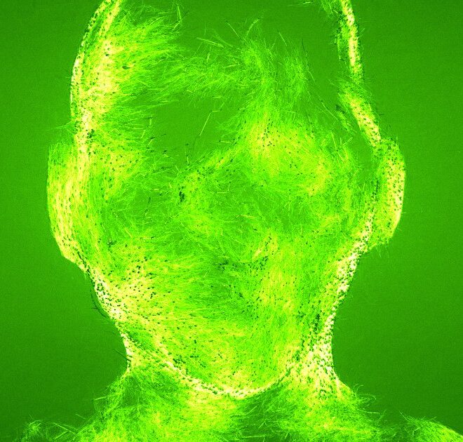 Malware Is Now Using AI to Rewrite Its Own Code to Avoid Detection
