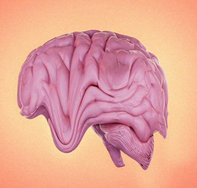 New Development Environment for Programmers Rewards Them With Brainrot When They Prompt the AI