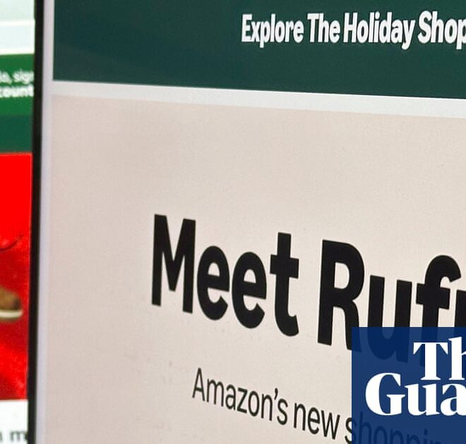 Consumer test drive: can AI do your Christmas gift shopping for you? | Shopping