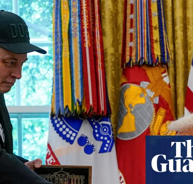 Elon Musk, AI and the antichrist: the biggest tech stories of 2025 | Technology