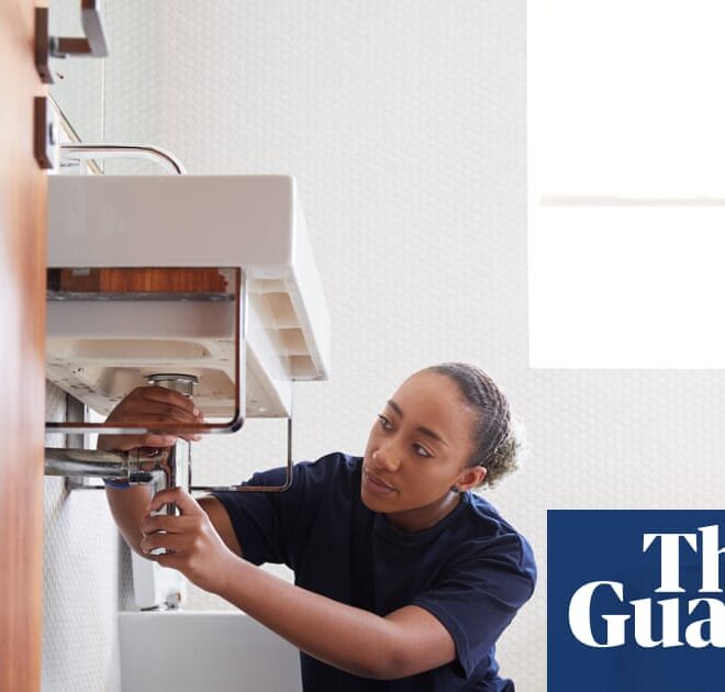 Want job security in the age of AI? Get a state license – any state license | US small business