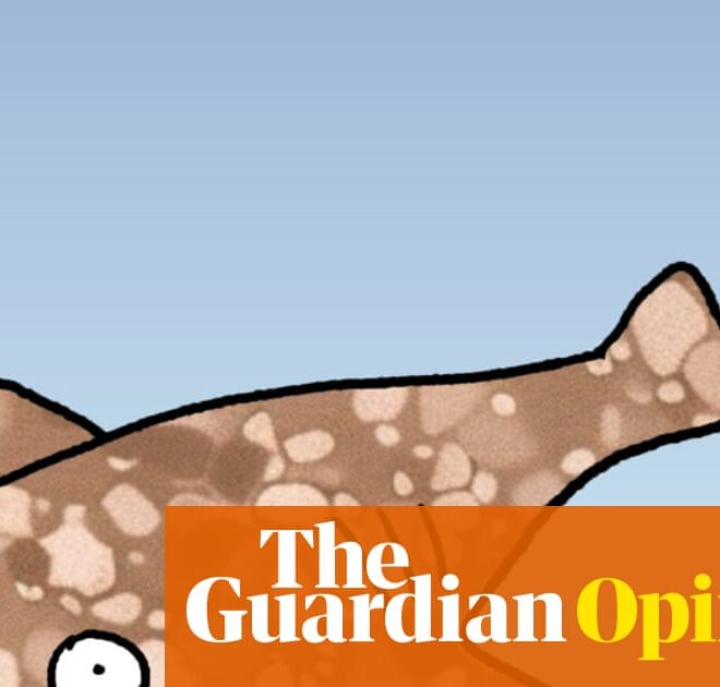 Datacentres – why are they so thirsty? Let’s ask a shark! | First Dog on the Moon