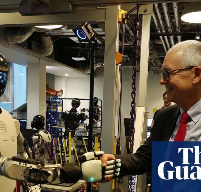 AI will transform the ‘human job’ and enhance skills, says science minister | AI (artificial intelligence)