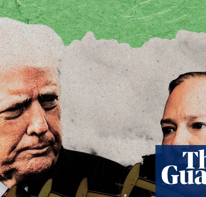 ‘Shameful’: Trump’s EPA accused of prioritizing big business over public health | Environment