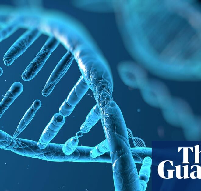 Google DeepMind launches AI tool to help identify genetic drivers of disease | Genetics