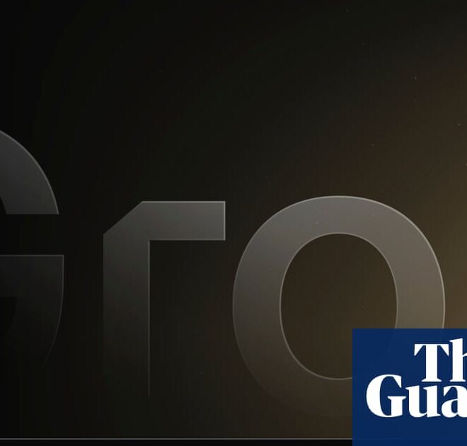 ‘I felt violated’: Elon Musk’s AI chatbot crosses a line | AI (artificial intelligence)