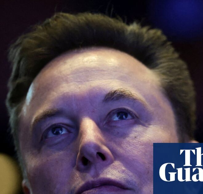 Royal Society president reignites Elon Musk row by defending lack of action | Royal Society
