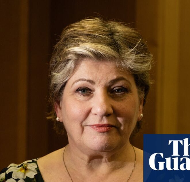 UK politics ‘constantly suffering’ from online disinformation, says Labour MP | Politics
