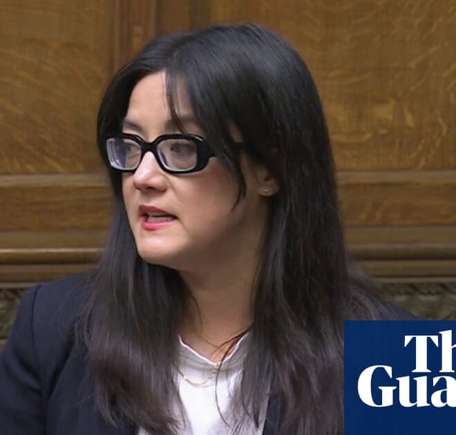 Commons women and equalities committee to stop using X amid AI-altered images row | X