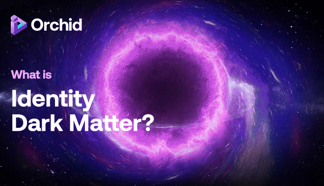 What is Identity Dark Matter?