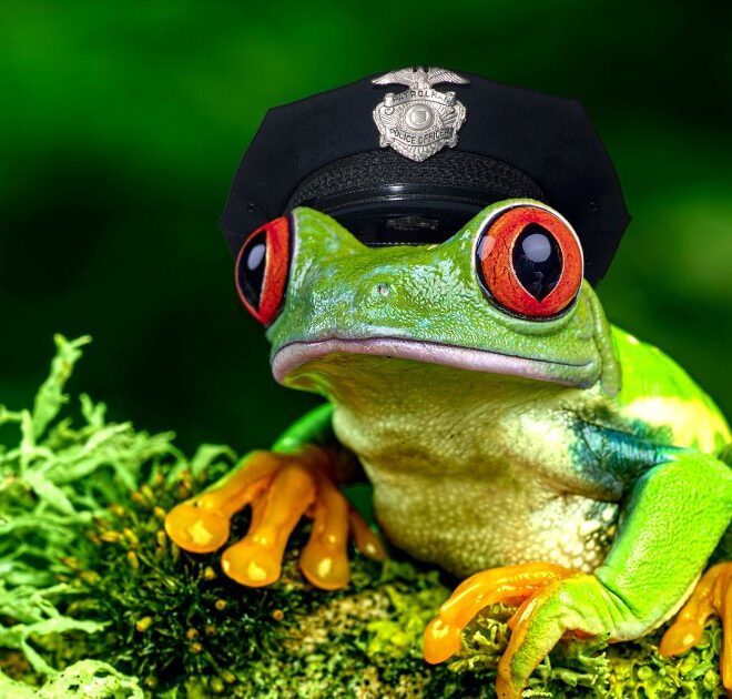Cops Forced to Explain Why AI Generated Police Report Claimed Officer Transformed Into Frog