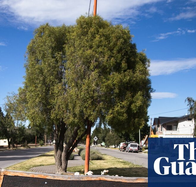 ‘We’re being turned into an energy colony’: Argentina’s nuclear plan faces backlash over US interests | Mining