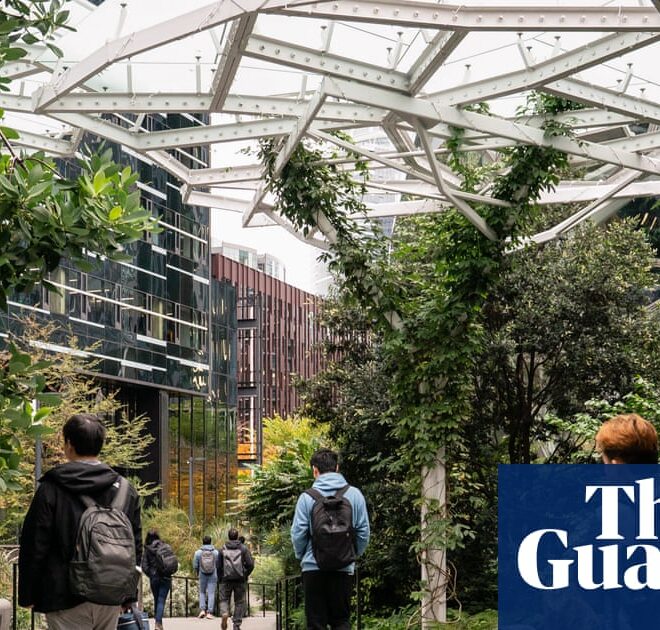 US companies accused of ‘AI washing’ in citing artificial intelligence for job losses | US news