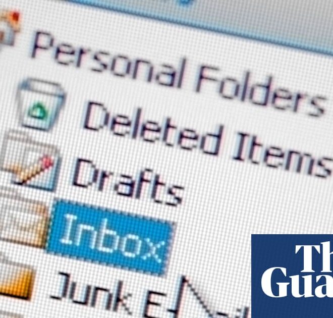 Viral AI personal assistant seen as step change – but experts warn of risks | AI (artificial intelligence)