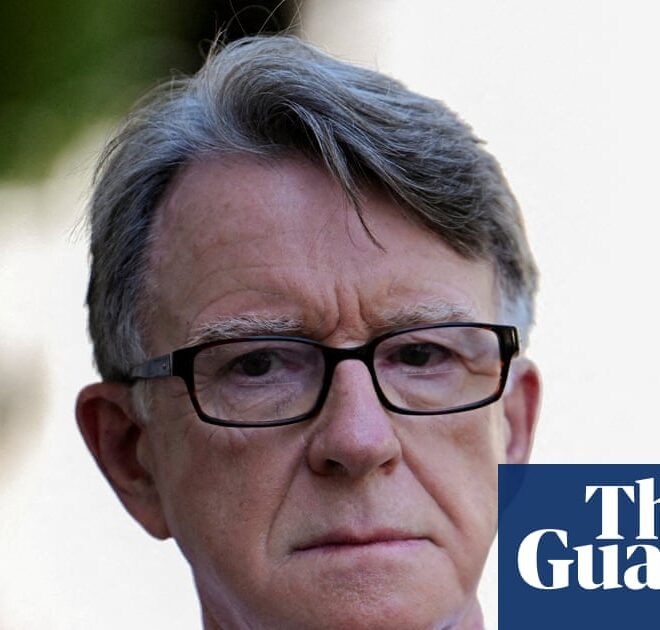 Mandelson’s links with US tech firm Palantir must be exposed, campaigners warn | Peter Mandelson