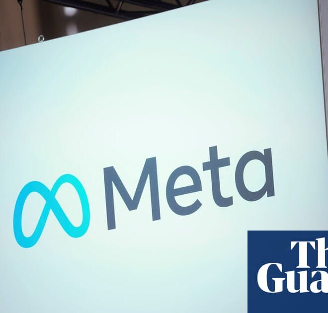 Meta’s AI sending ‘junk’ tips to DoJ, US child abuse investigators say | Technology