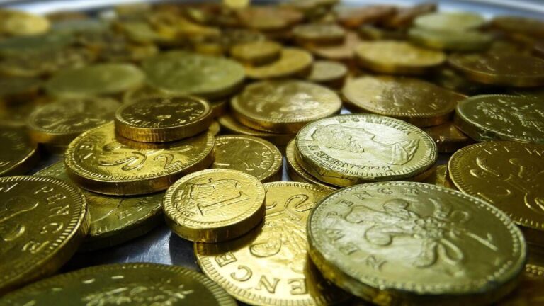 Centre Launches Digital Food Currency Pilot In Puducherry