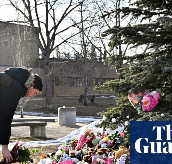 Family of Tumbler Ridge shooting victim sues OpenAI alleging it could have prevented attack | Canada