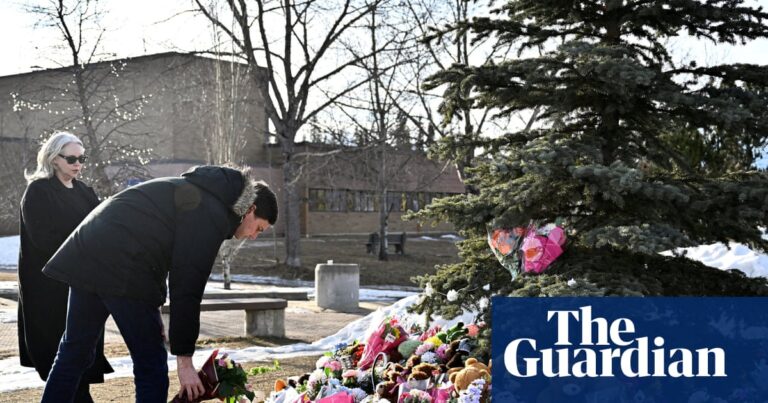 Family of Tumbler Ridge shooting victim sues OpenAI alleging it could have prevented attack | Canada