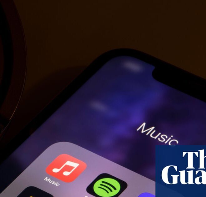 US man pleads guilty to defrauding music streamers out of millions using AI | US crime