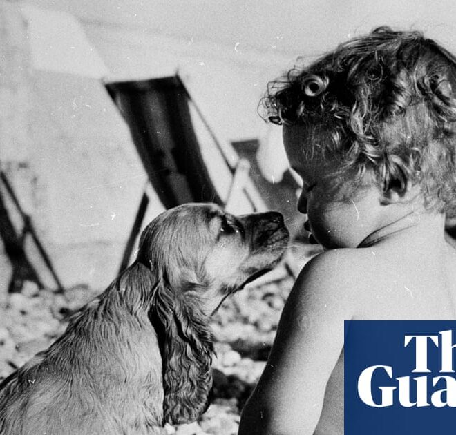 Child’s play: blame it all on the dog | Brief letters