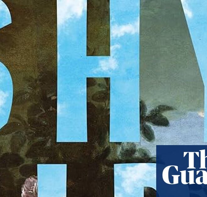 Hachette pulls horror novel Shy Girl after suspected AI use | Books