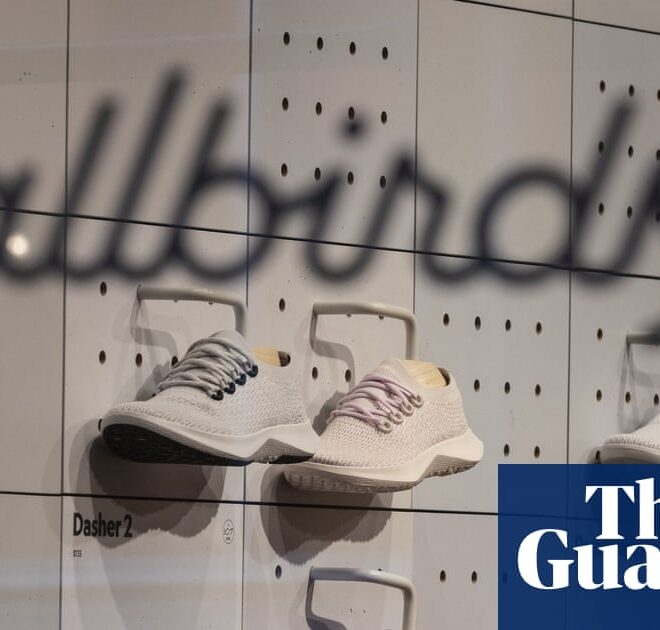 Shares in Allbirds surge after maker of wool sneakers announces pivot to AI | Business