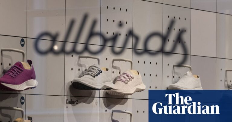 Shares in Allbirds surge after maker of wool sneakers announces pivot to AI | Business