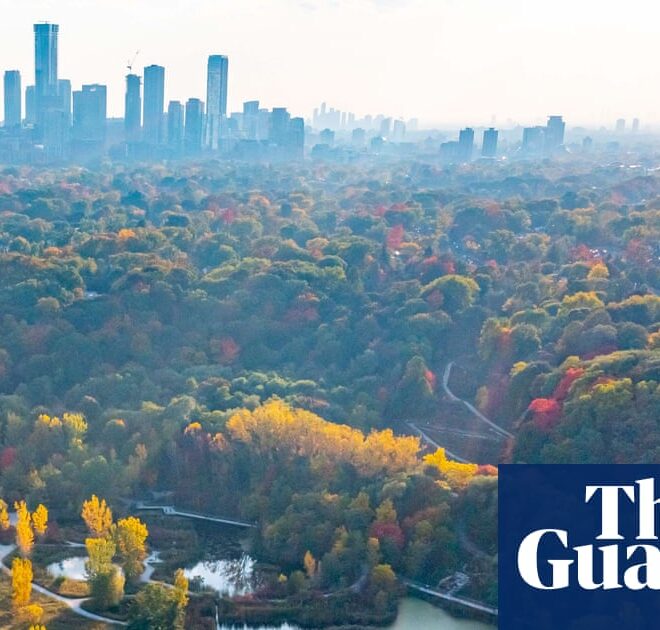 Row over ‘virtual gated community’ AI surveillance plan in Toronto neighbourhood | AI (artificial intelligence)