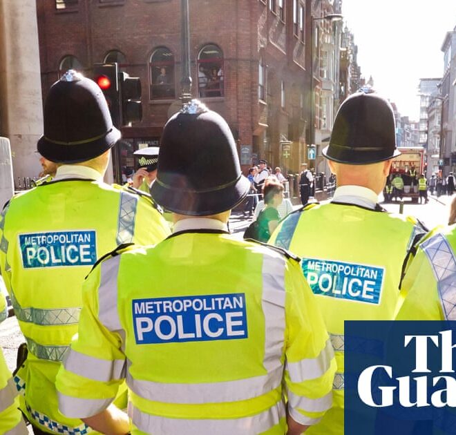 Met investigates hundreds of officers after using Palantir AI tool | Metropolitan police