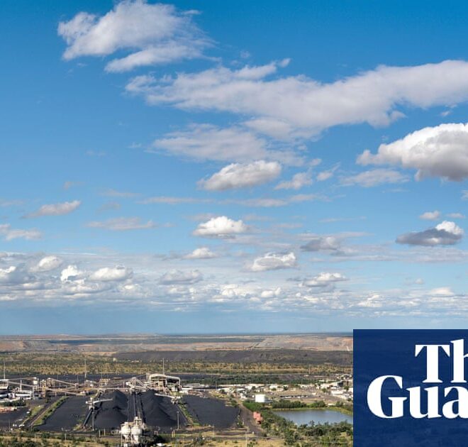 Using AI to prepare and evaluate environmental assessments risks ‘robodebt-style’ failures, scientists say | Environment