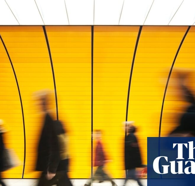 The social sciences need tools for the 21st century | Social sciences