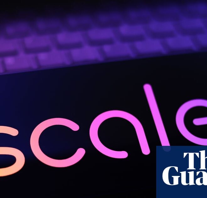 Porn, dog poo and social media snaps: the ‘taskers’ scraping the internet for Meta-owned AI firm | AI (artificial intelligence)