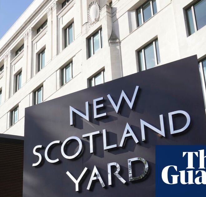 Met police in talks to buy Palantir AI tech for use in criminal investigations | Metropolitan police