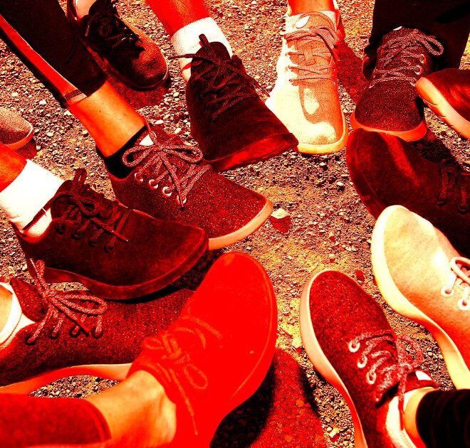 Allbirds Stock Now Crashing as Reality Sets in About Its Delusional AI Pivot