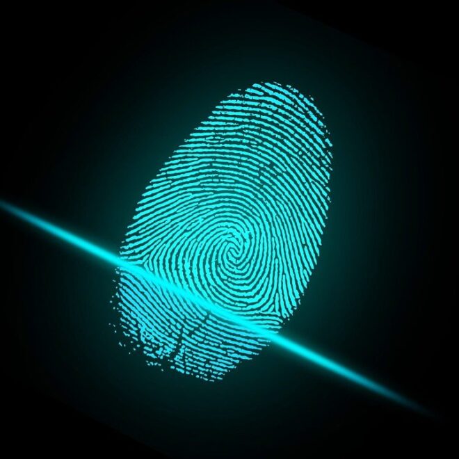 SC Seeks Govt Response on Biometric Voting Proposal
