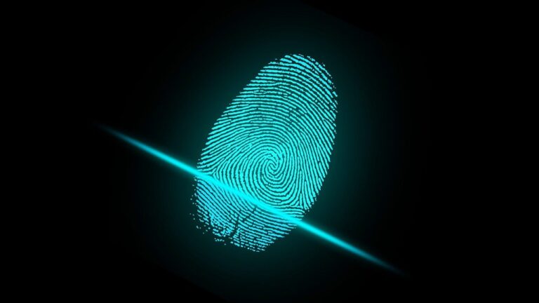 SC Seeks Govt Response on Biometric Voting Proposal