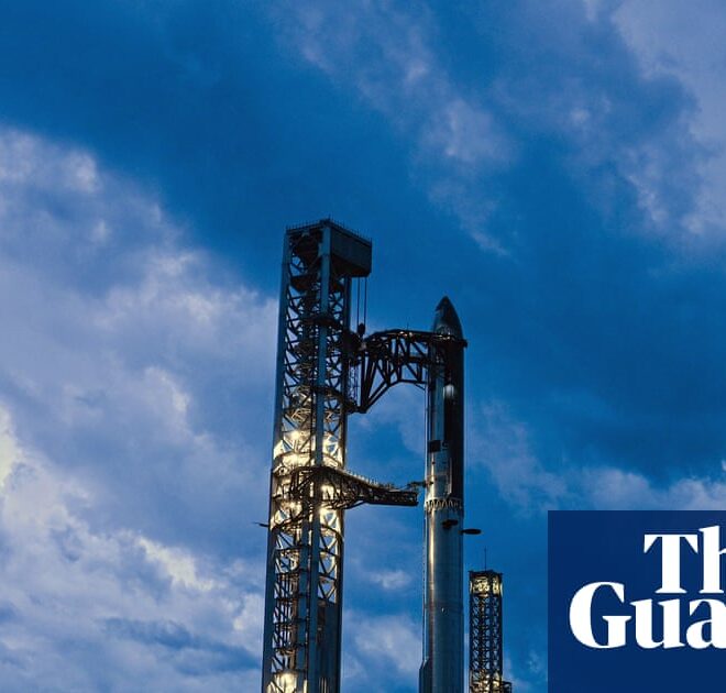 Mars colony and Grok warnings: five strange details in SpaceX’s pitch to investors | Technology