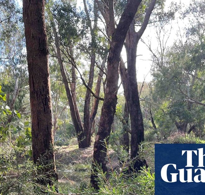 Developer withdraws plans for Perth datacentre after fierce community opposition | Technology