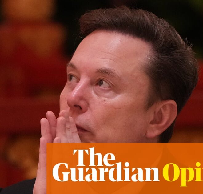 Elon Musk and the US government fought an AI anti-discrimination law. The arguments don’t hold up | Genevieve Smith