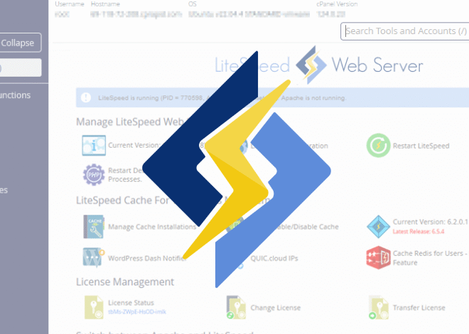 LiteSpeed cPanel Plugin CVE-2026-48172 Exploited to Run Scripts as Root