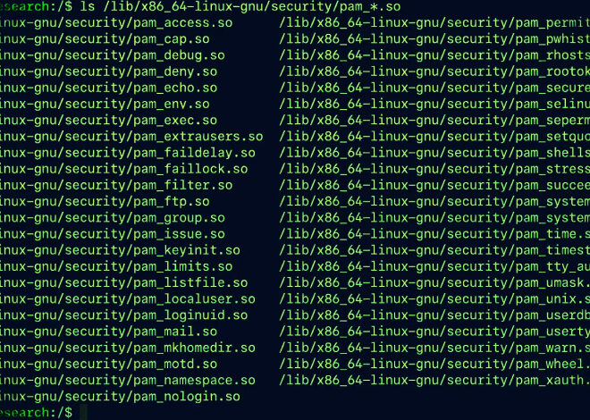 New Linux PamDOORa Backdoor Uses PAM Modules to Steal SSH Credentials