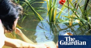 Australian musicians sound warning note after Nick Cave, Kylie and many more slurped into AI training tool | Culture